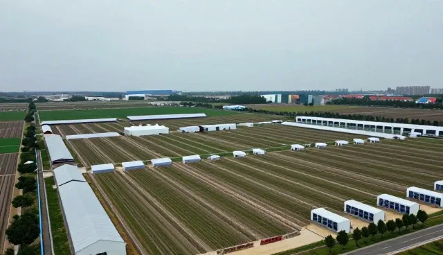 技术方案设计中性能与适用条件的综合考量